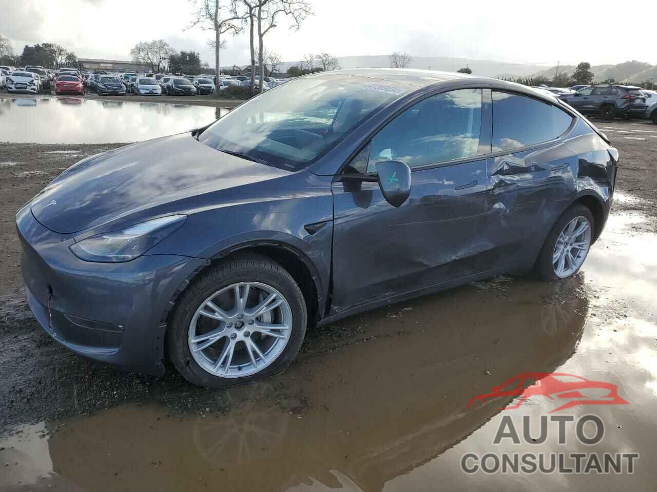 TESLA MODEL Y 2023 - 7SAYGDEE4PF866373