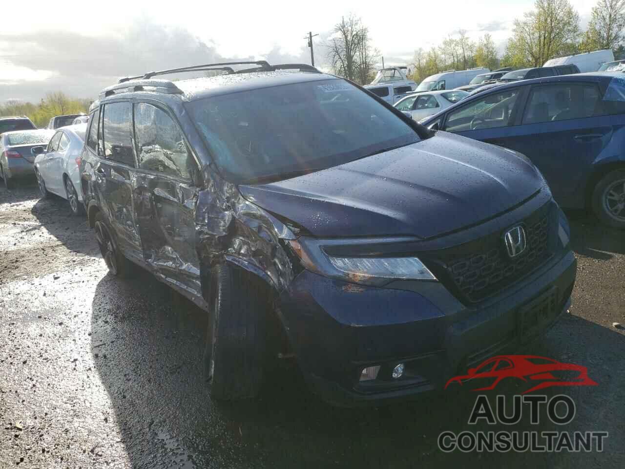 HONDA PASSPORT 2019 - 5FNYF8H0XKB001097