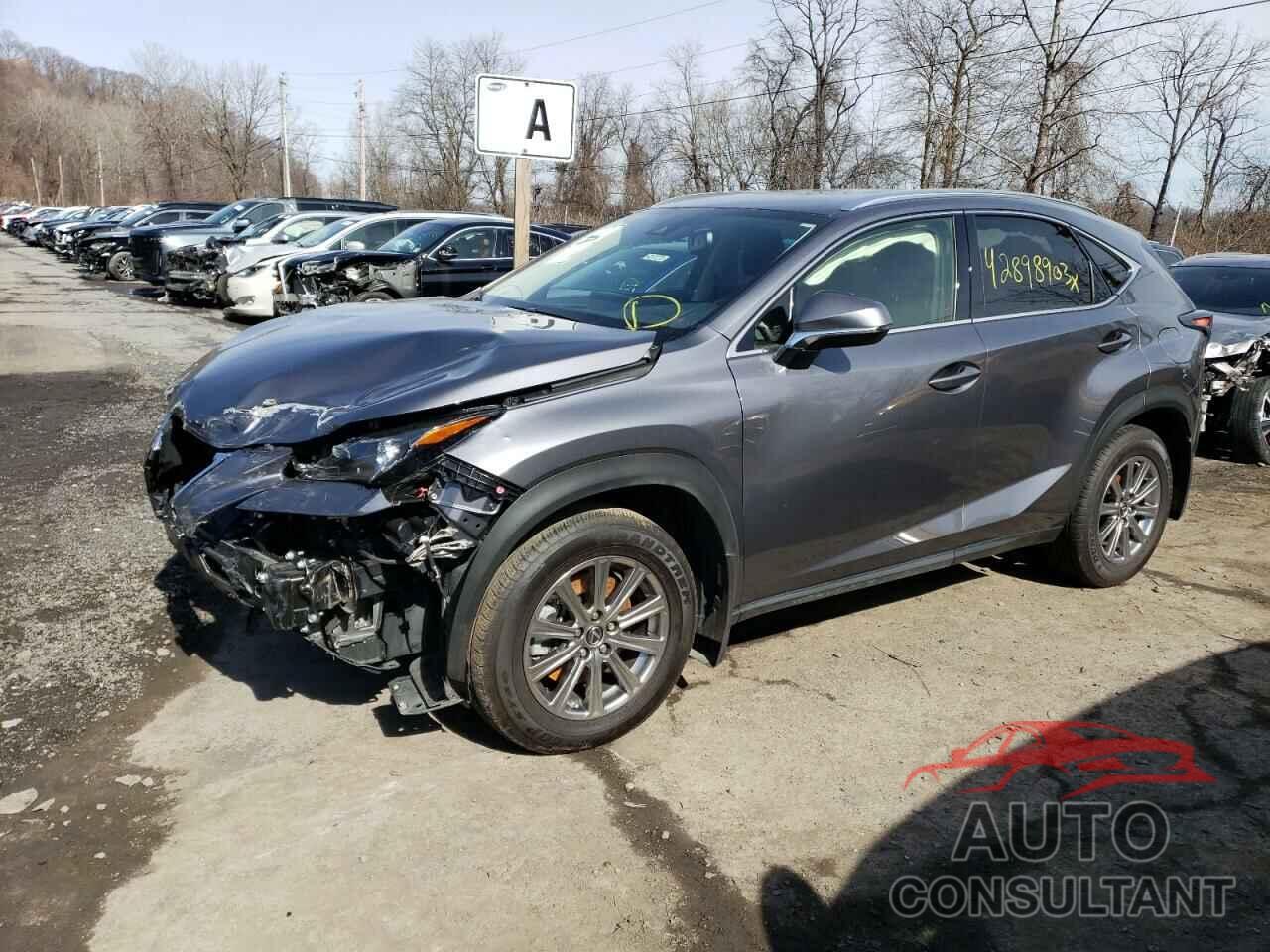 LEXUS NX 2021 - JTJDARDZ5M2252586