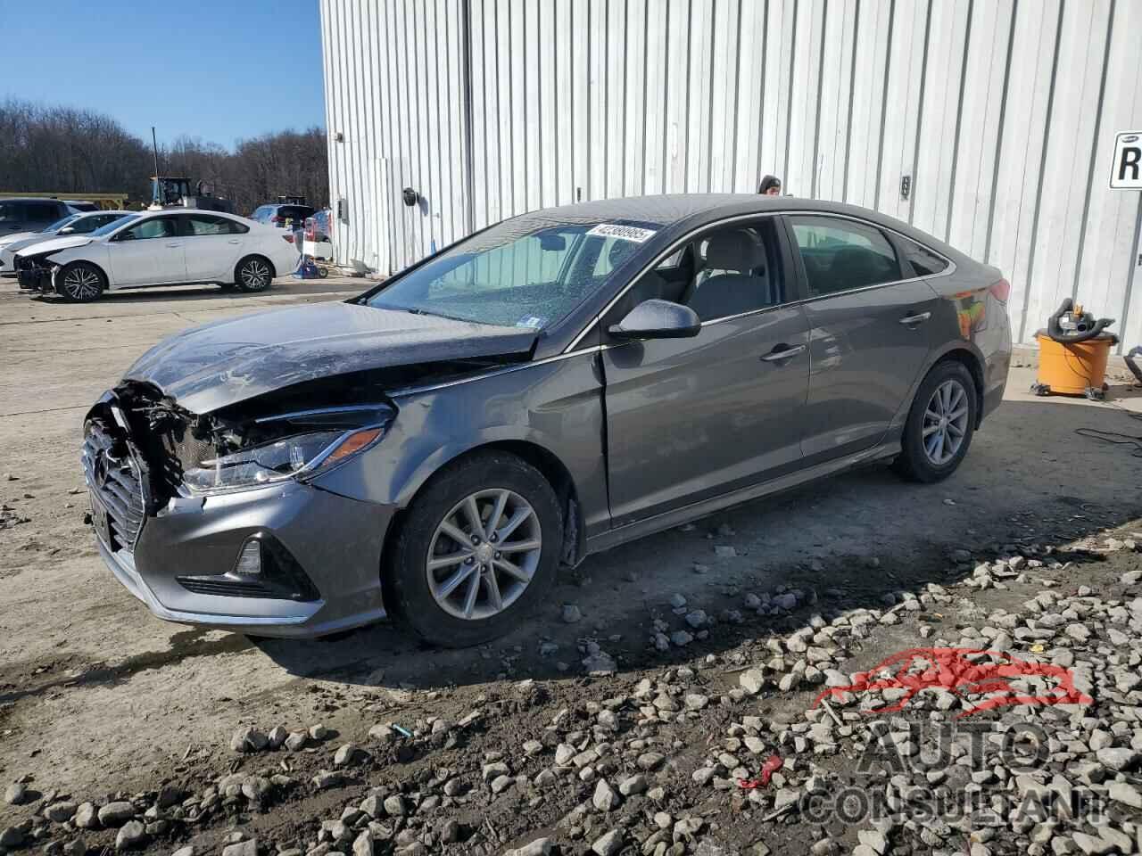 HYUNDAI SONATA 2019 - 5NPE24AF3KH734115