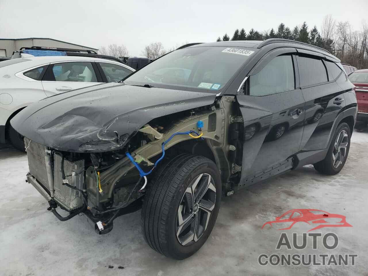 HYUNDAI TUCSON 2024 - KM8JECD17RU146472