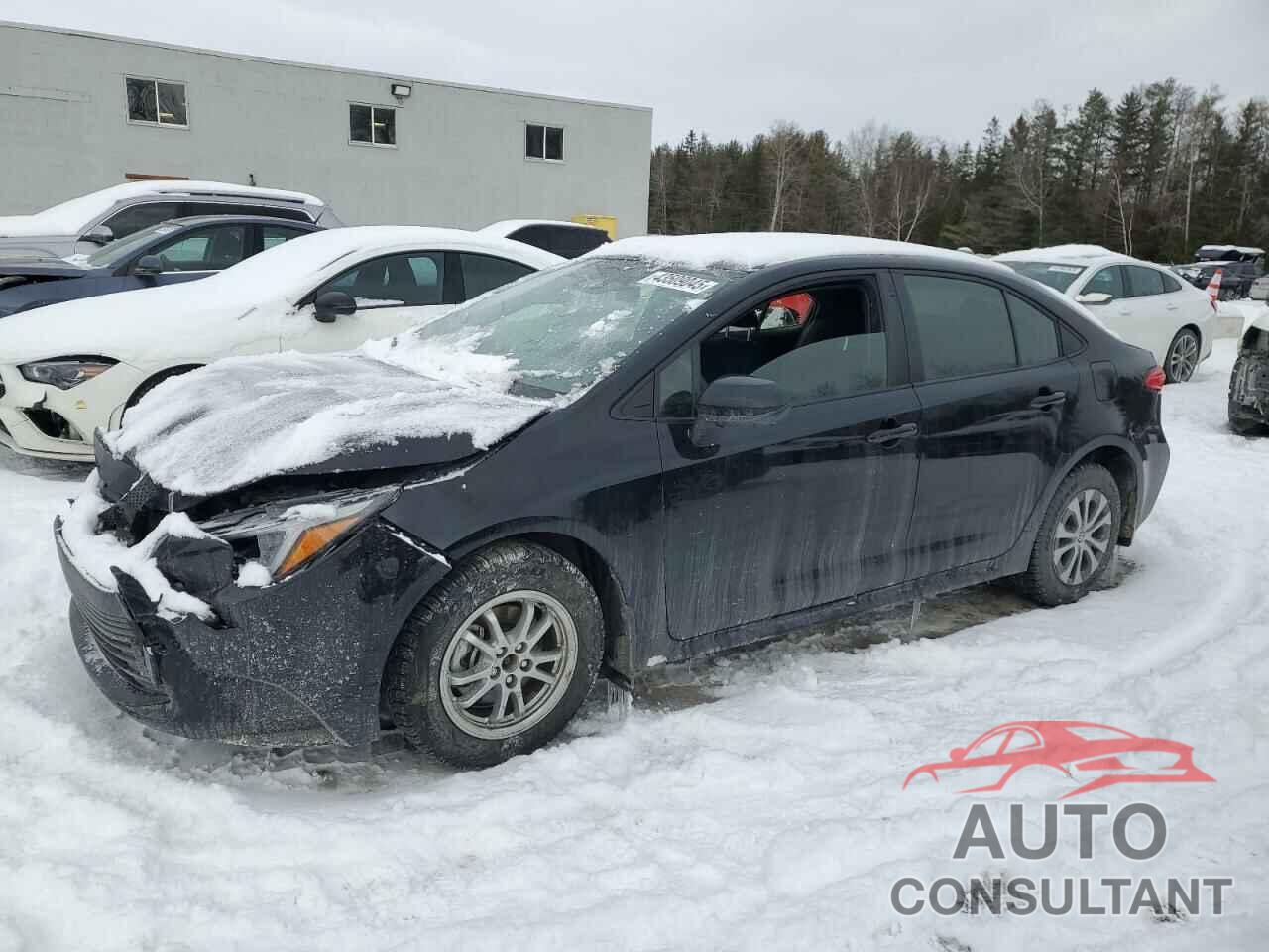TOYOTA COROLLA 2024 - JTDBCMFEXR3036994