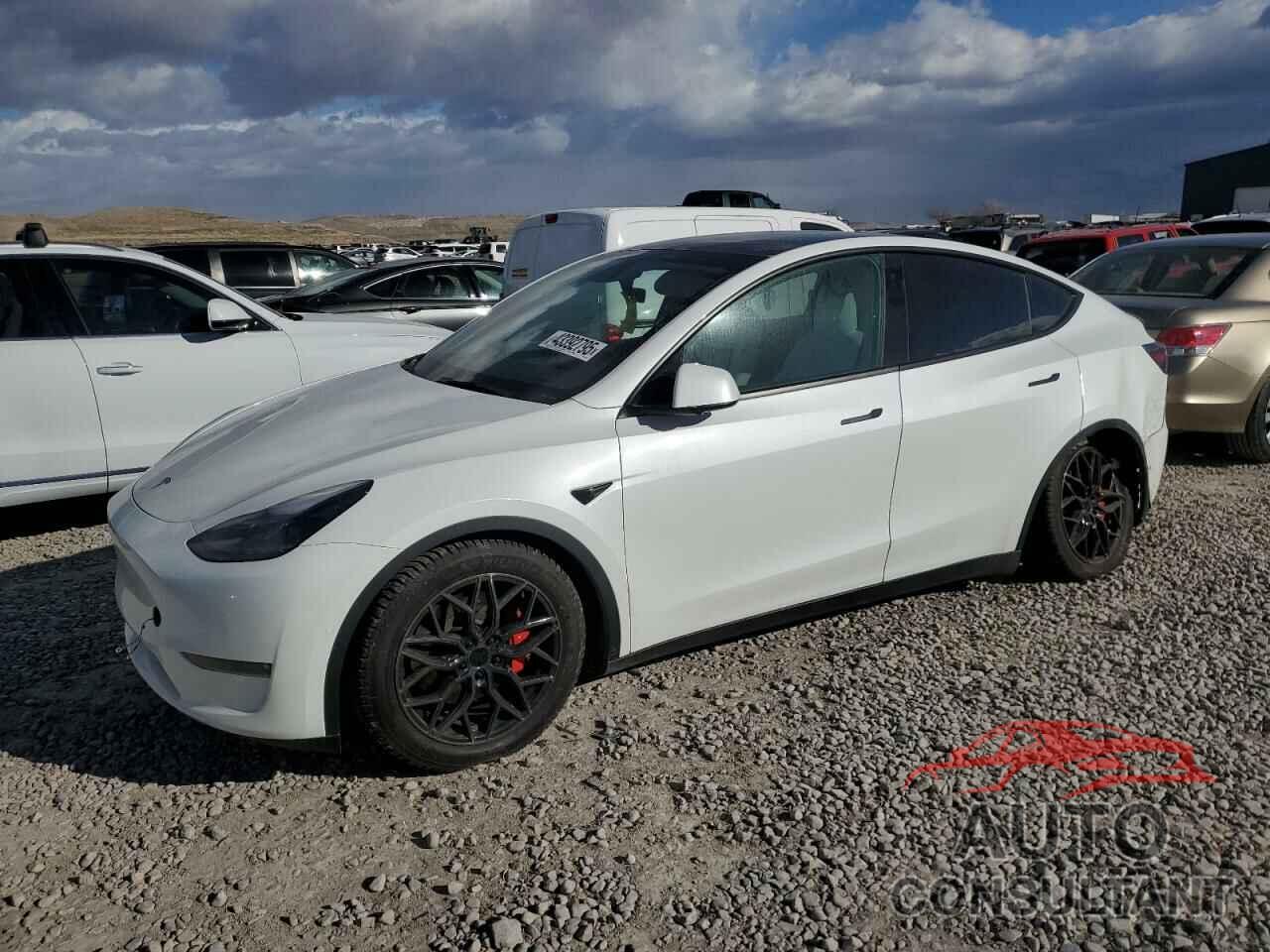 TESLA MODEL Y 2023 - 7SAYGDEF9PF590376