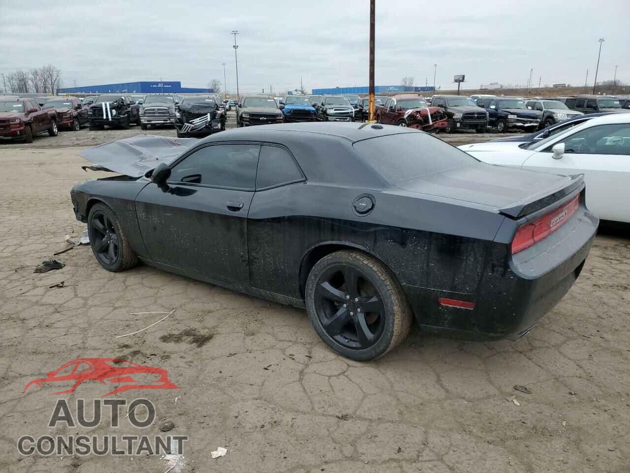 DODGE CHALLENGER 2014 - 2C3CDYBT7EH250351