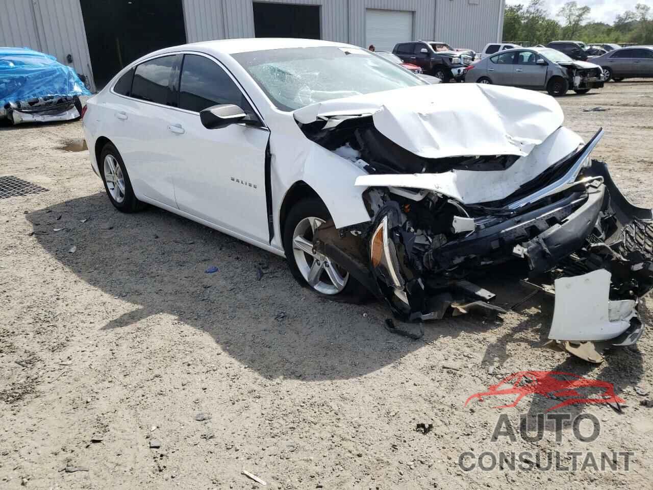 CHEVROLET MALIBU 2019 - 1G1ZC5ST8KF203181
