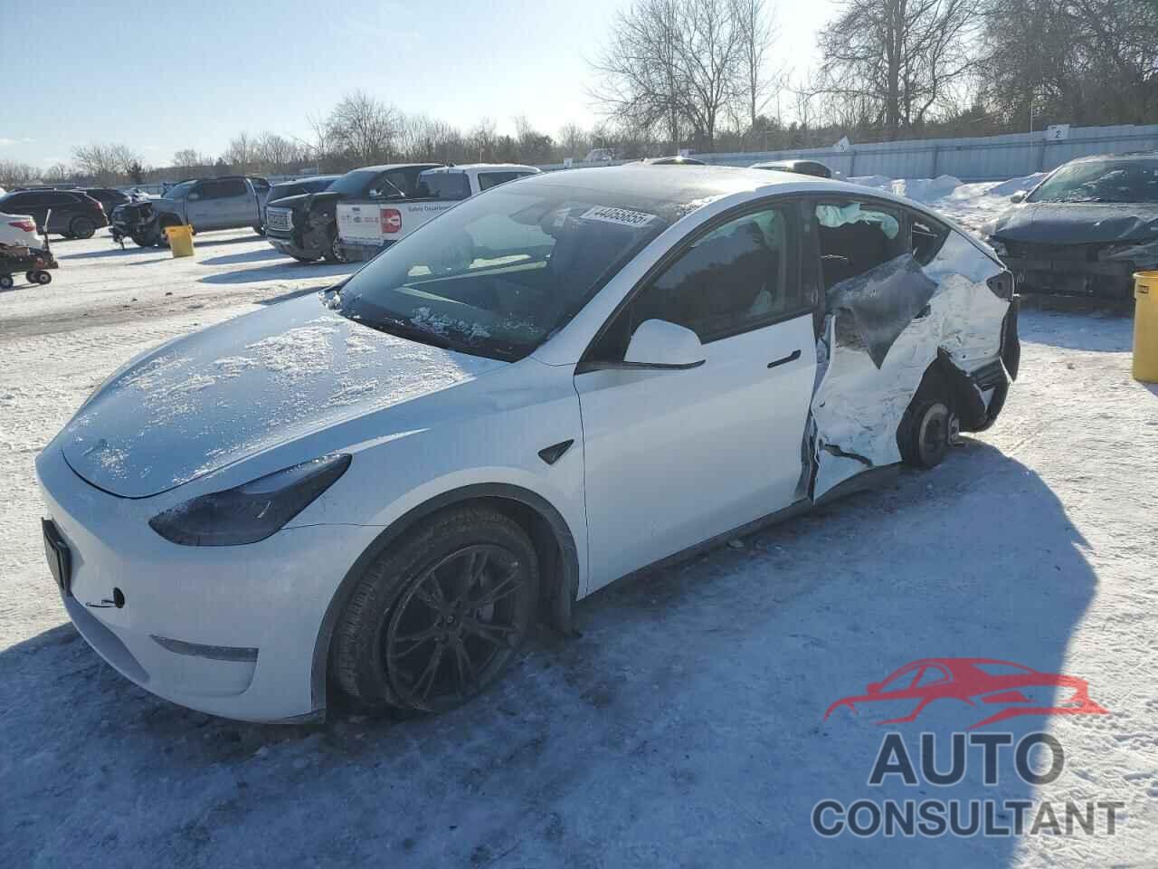 TESLA MODEL Y 2024 - LRWYGDEE2RC661614