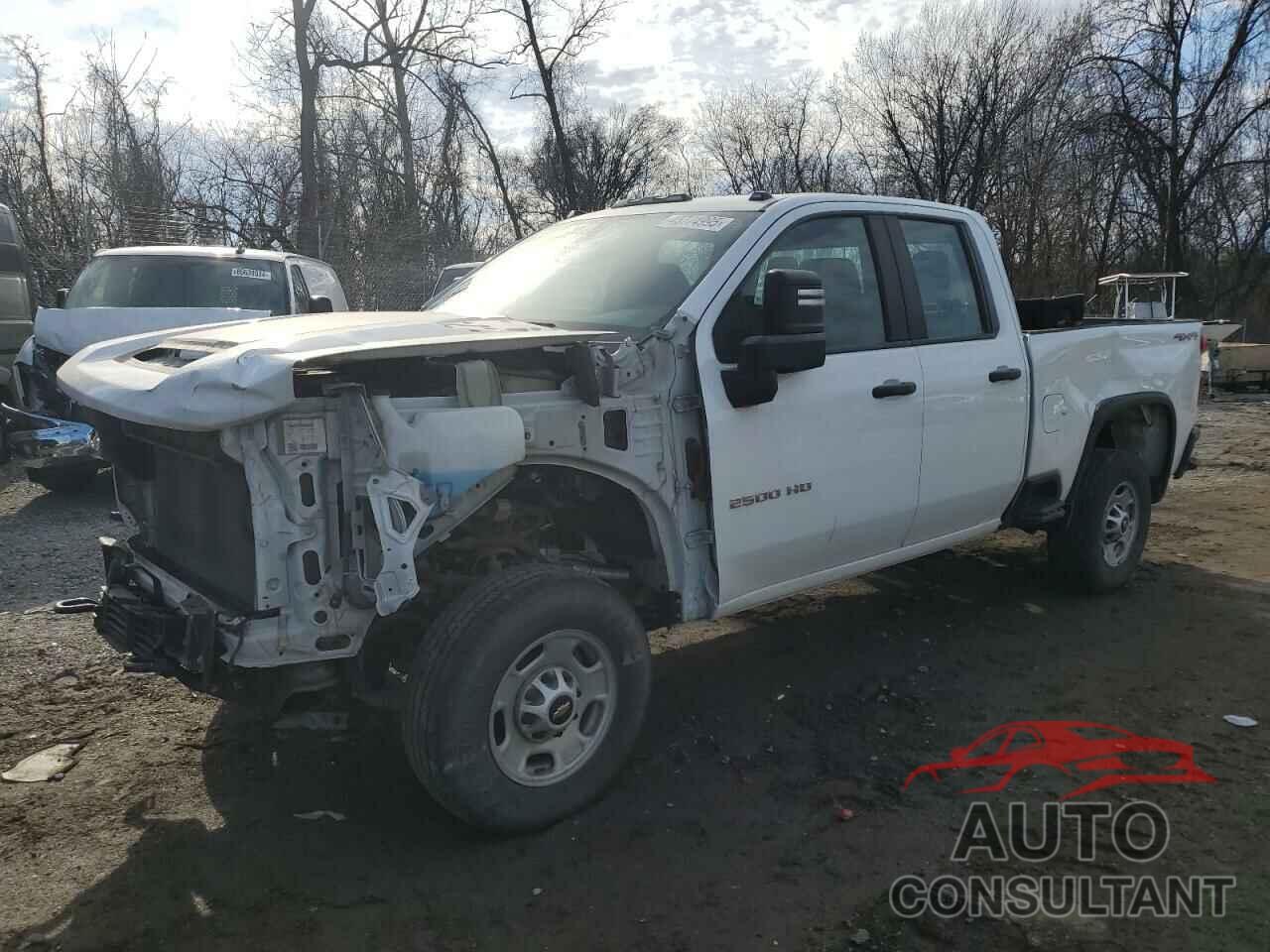 CHEVROLET ALL Models 2021 - 1GC2YLE70MF215924
