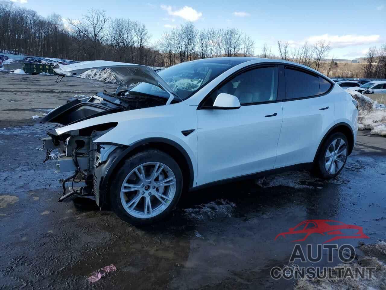 TESLA MODEL Y 2023 - 7SAYGDEE1PA029495