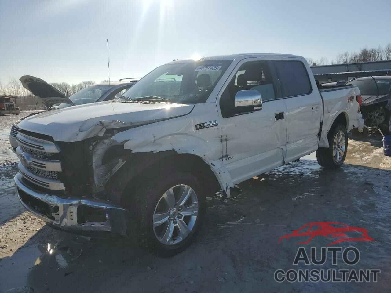 FORD F-150 2015 - 1FTEW1EG1FFB18449