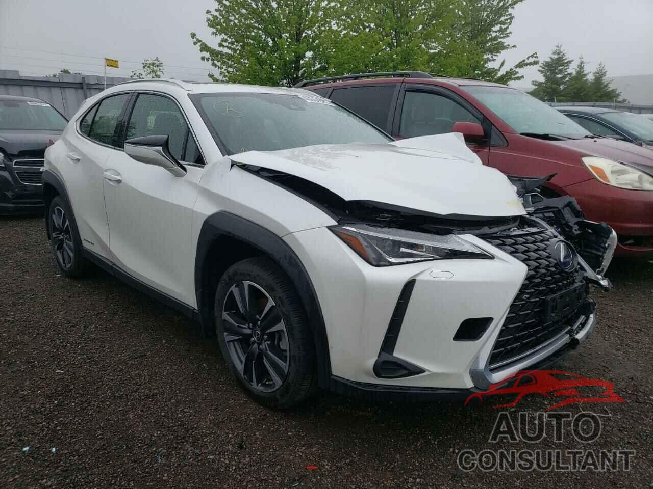 LEXUS UX 250H 2021 - JTHP9JBH2M2042000