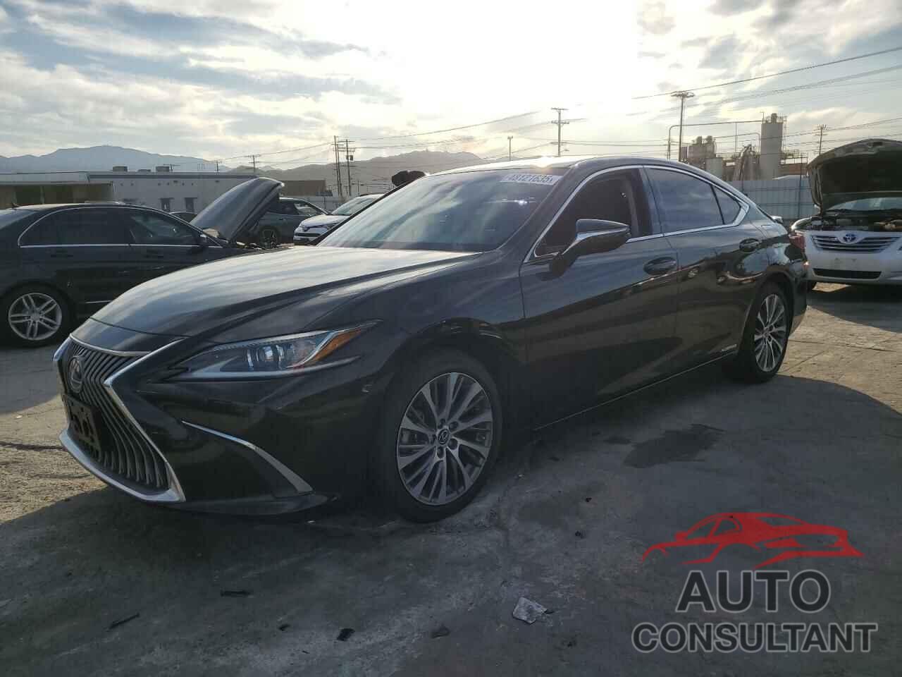 LEXUS ES300 2021 - 58ADA1C12MU008533
