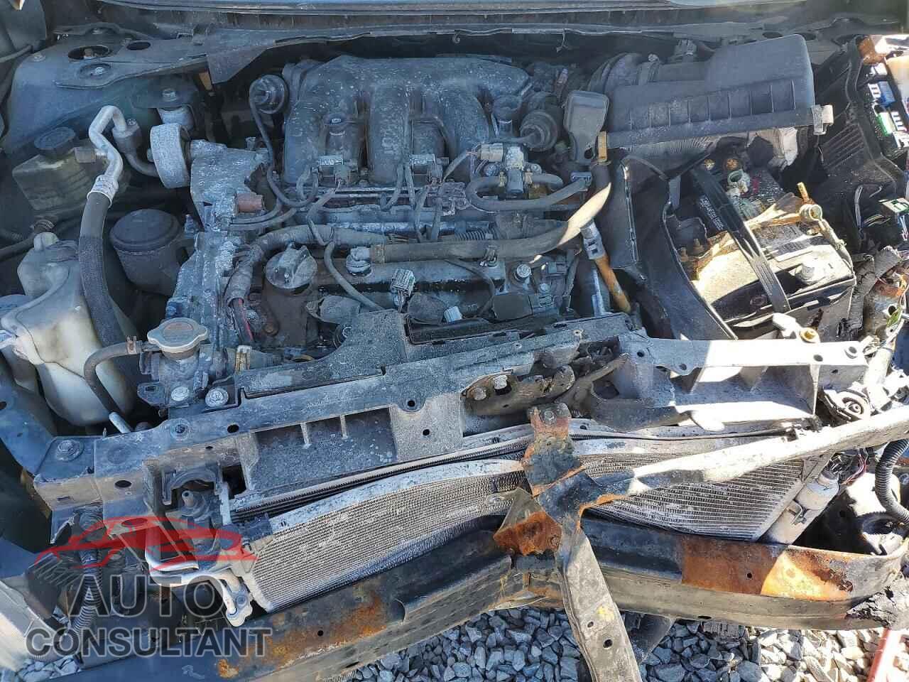 NISSAN MAXIMA 2009 - 1N4AA51E09C851175