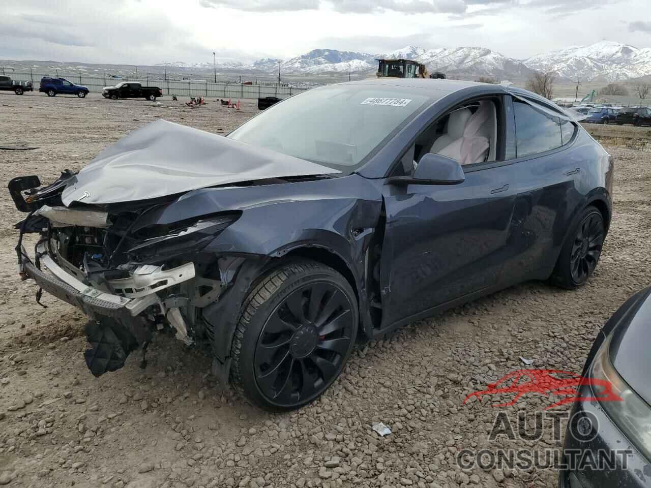 TESLA MODEL Y 2022 - 7SAYGDEF6NF461492