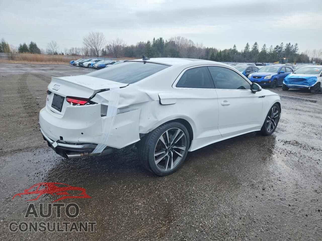 AUDI S5/RS5 2023 - WAUN4AF54PA039193