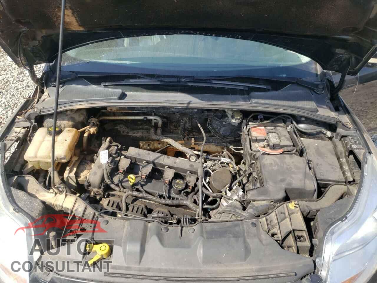 FORD FOCUS 2014 - 1FADP3F23EL296621