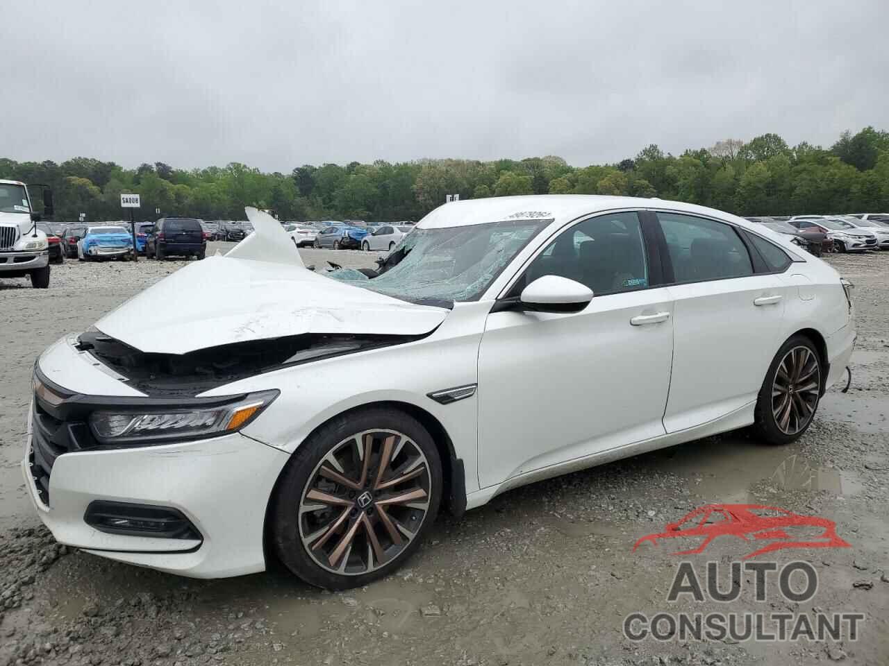 HONDA ACCORD 2019 - 1HGCV1F36KA066136