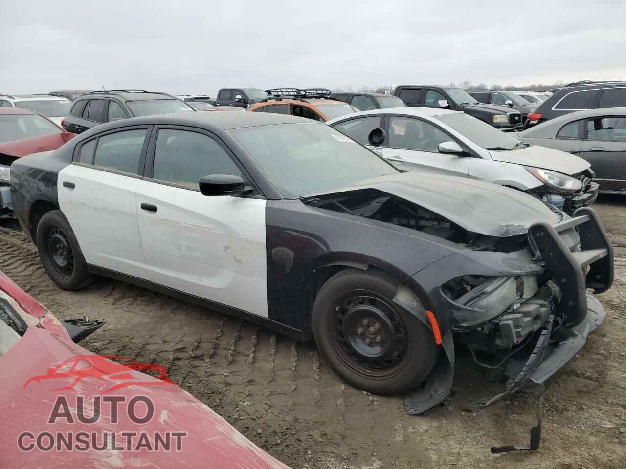 DODGE CHARGER 2016 - 2C3CDXKT5GH113003