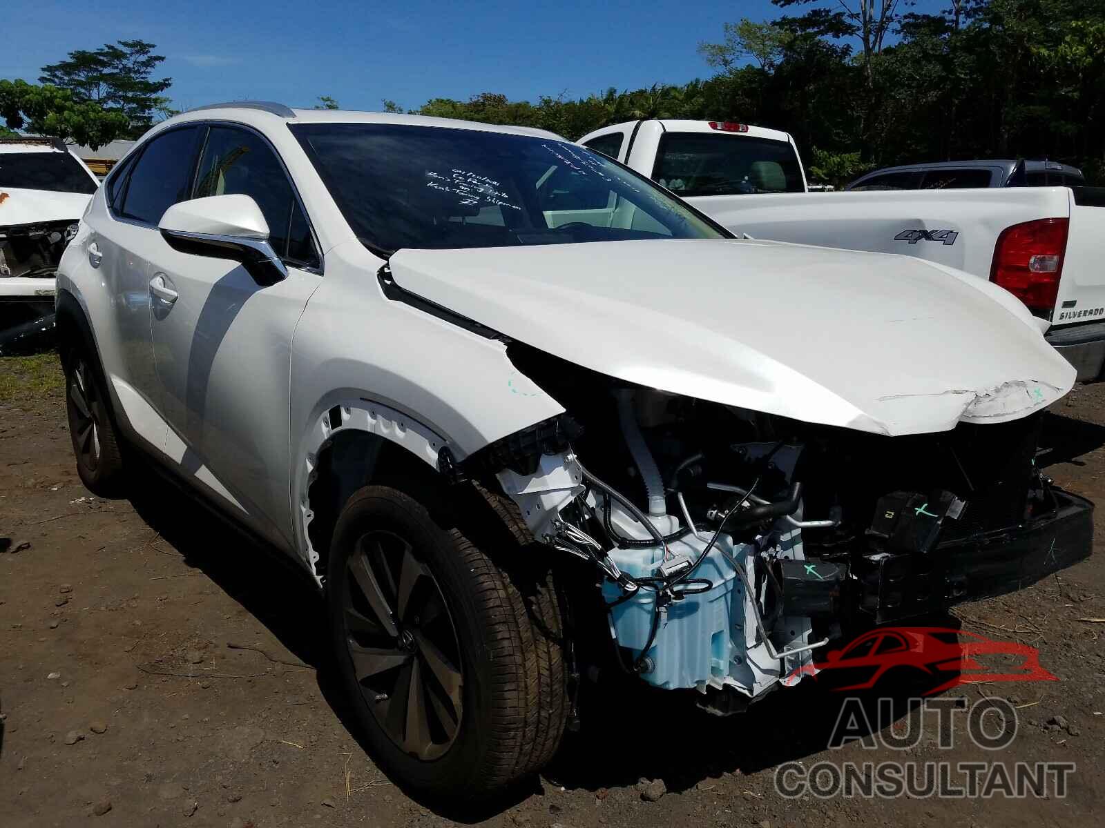 LEXUS NX 2019 - JTJYARBZ4K2120503