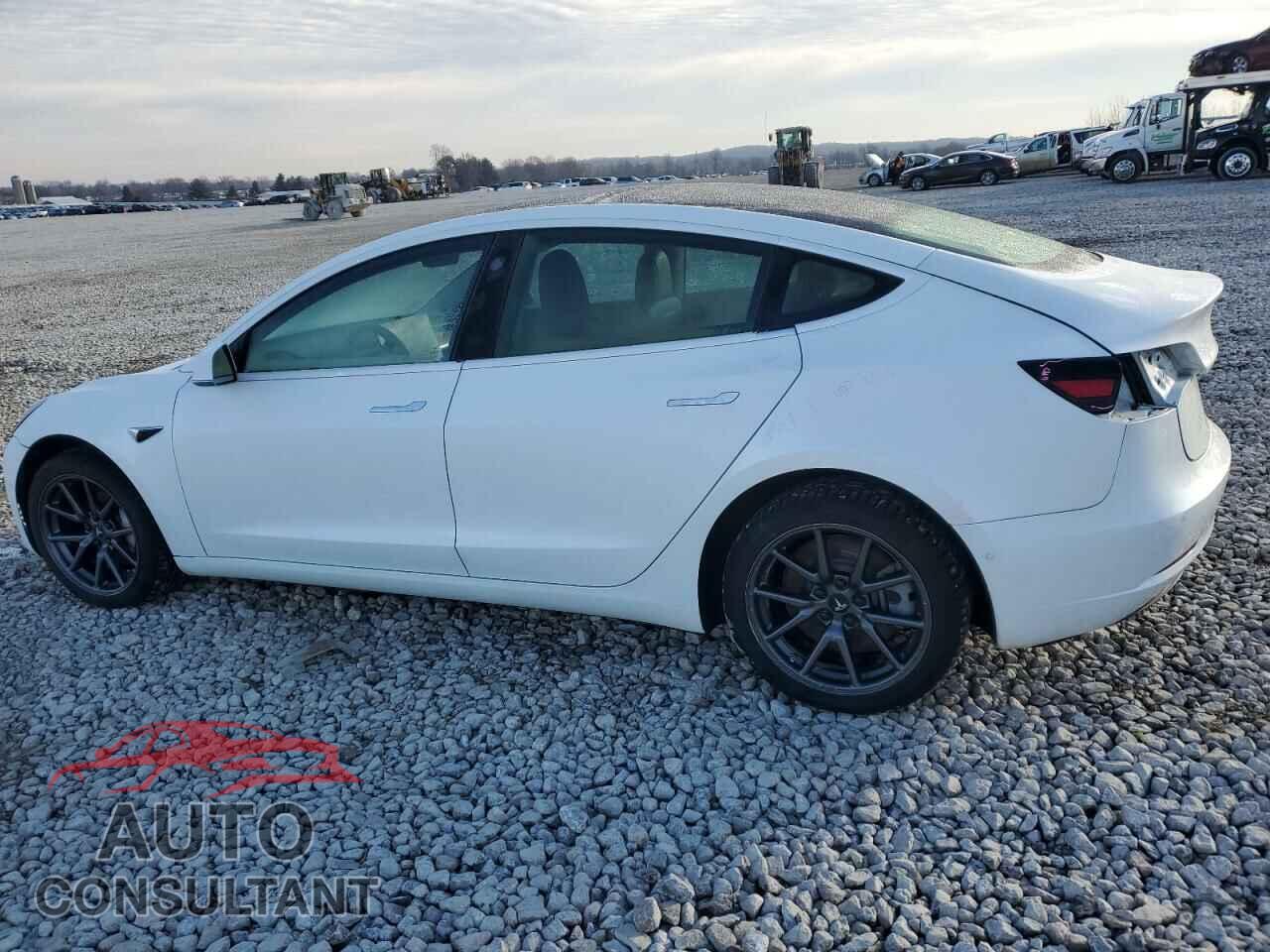 TESLA MODEL 3 2019 - 5YJ3E1EA1KF483783