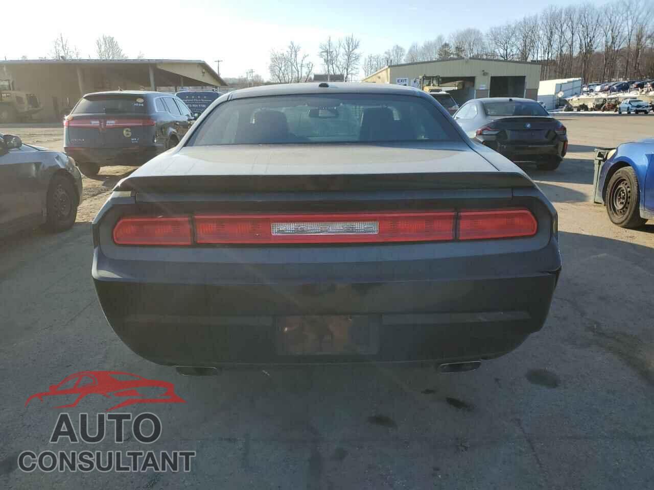 DODGE CHALLENGER 2013 - 2C3CDYBT3DH684409