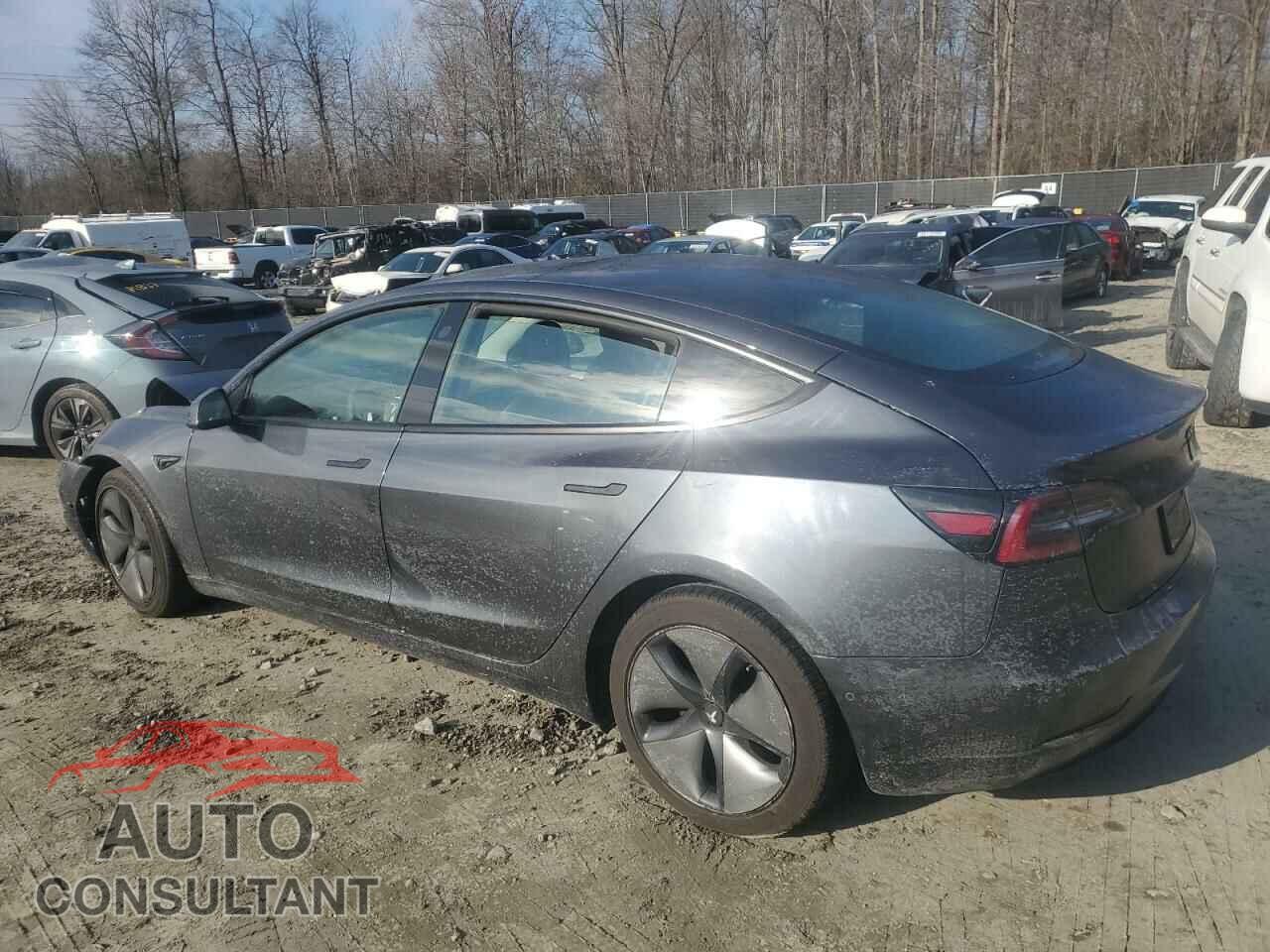 TESLA MODEL 3 2021 - 5YJ3E1EB3MF979714