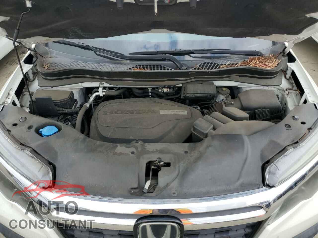HONDA RIDGELINE 2019 - 5FPYK3F75KB001806