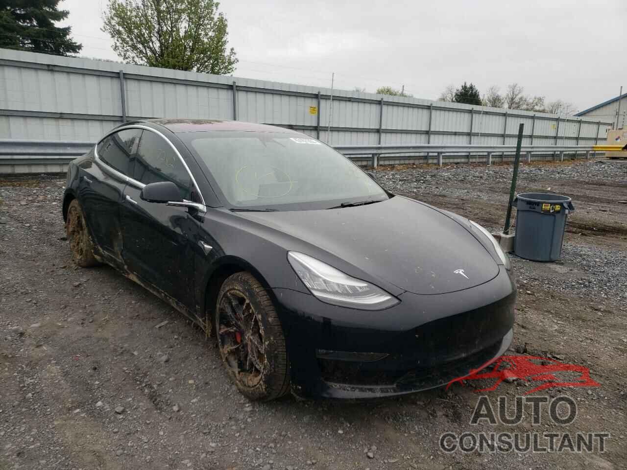 TESLA MODEL 3 2019 - 5YJ3E1EB0KF231645