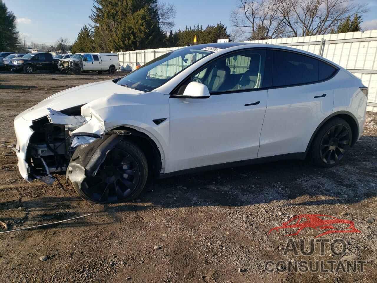 TESLA MODEL Y 2023 - 7SAYGAEE1PF616913
