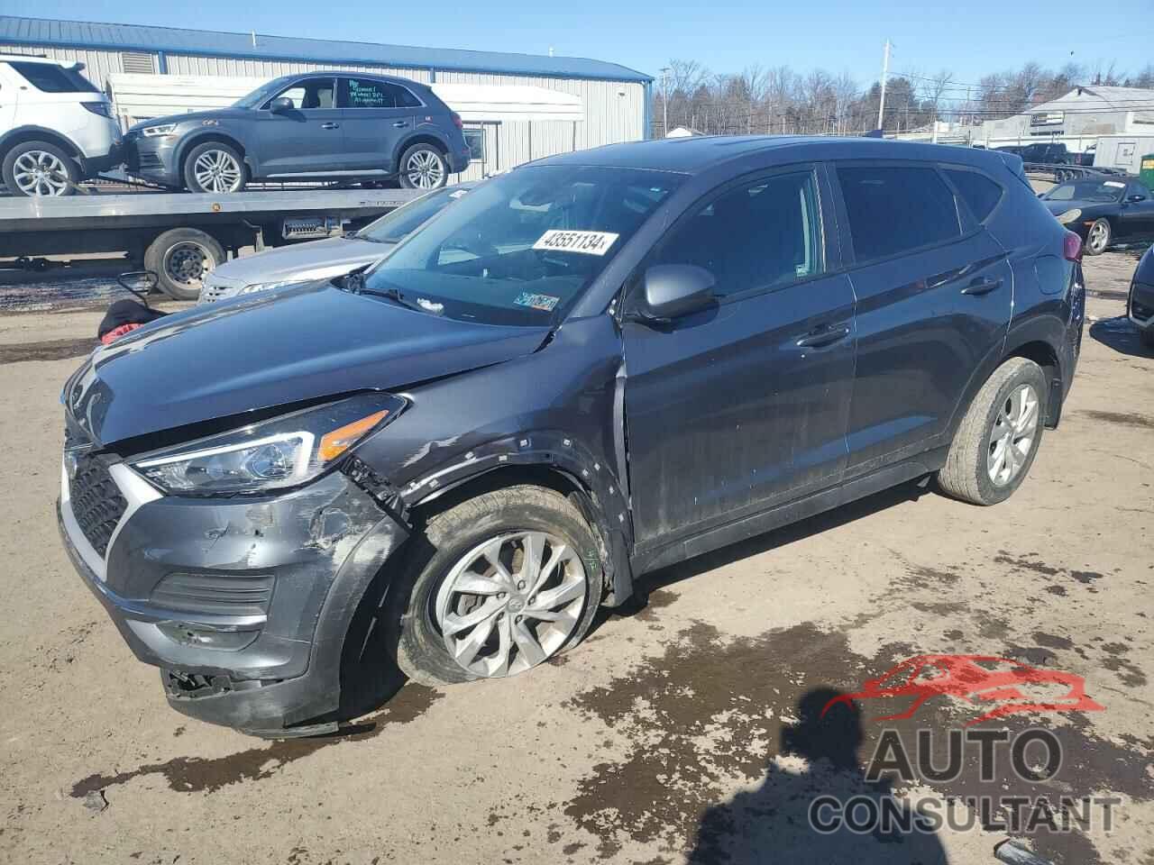 HYUNDAI TUCSON 2019 - KM8J2CA47KU968217