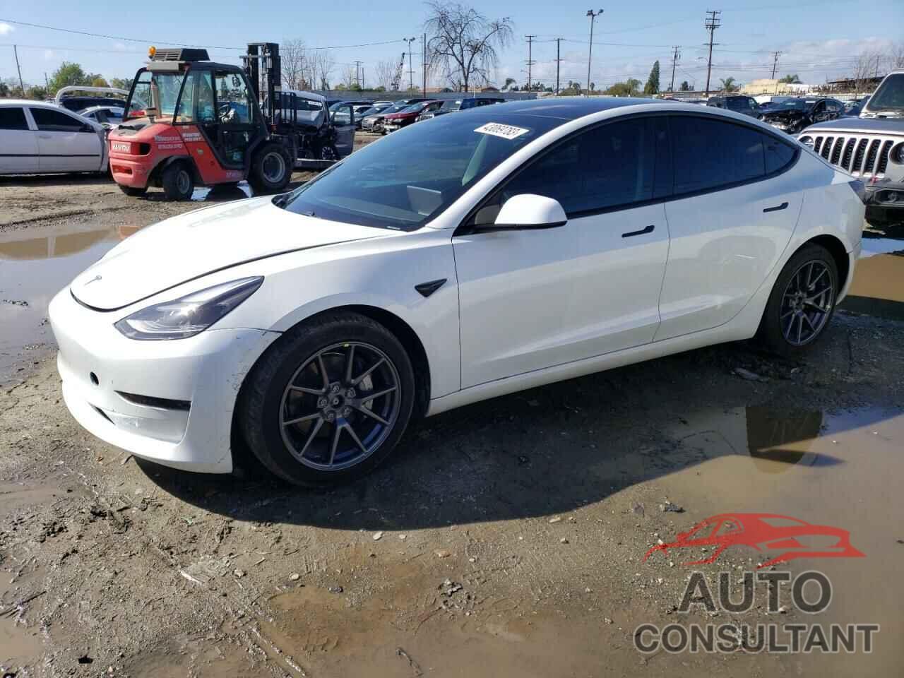 TESLA MODEL 3 2021 - 5YJ3E1EB3MF025495