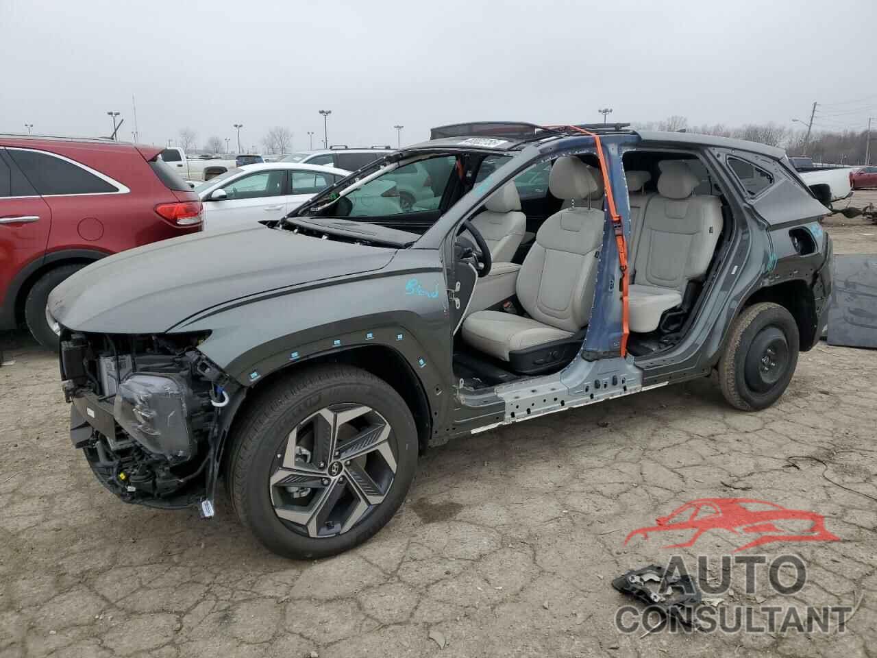 HYUNDAI TUCSON 2024 - KM8JCCD16RU231129
