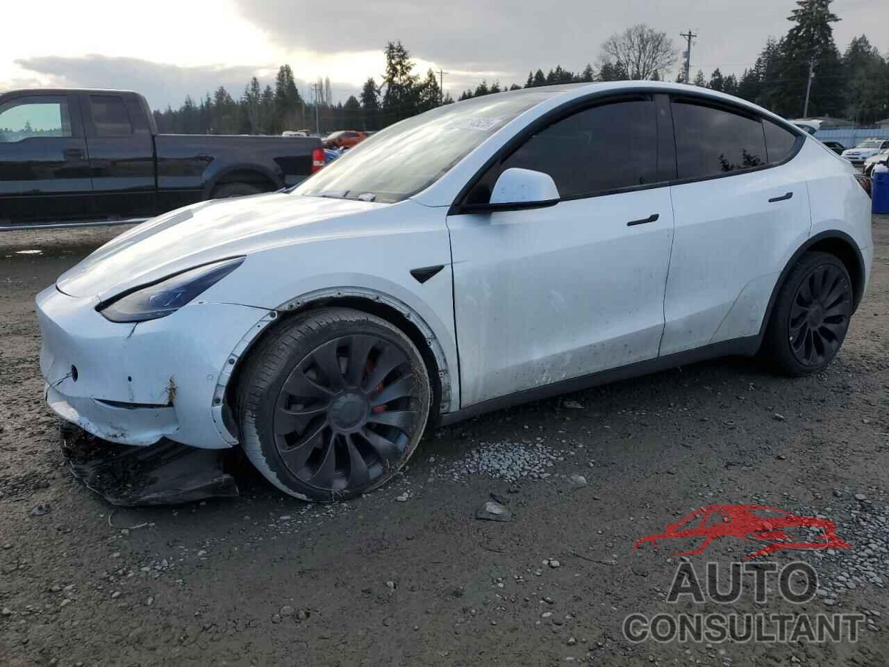 TESLA MODEL Y 2022 - 7SAYGDEF2NF325084