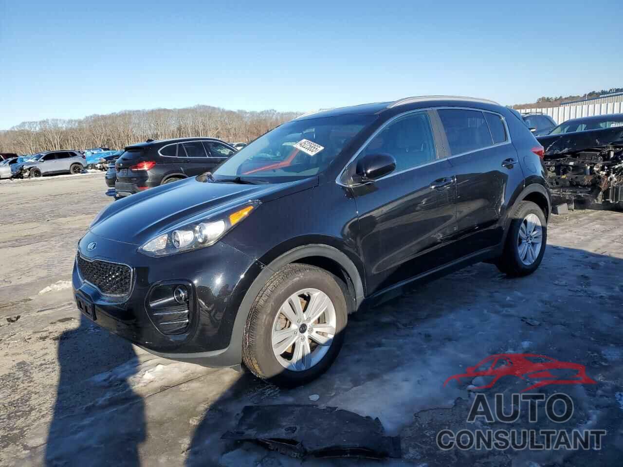 KIA SPORTAGE 2017 - KNDPMCAC7H7085550