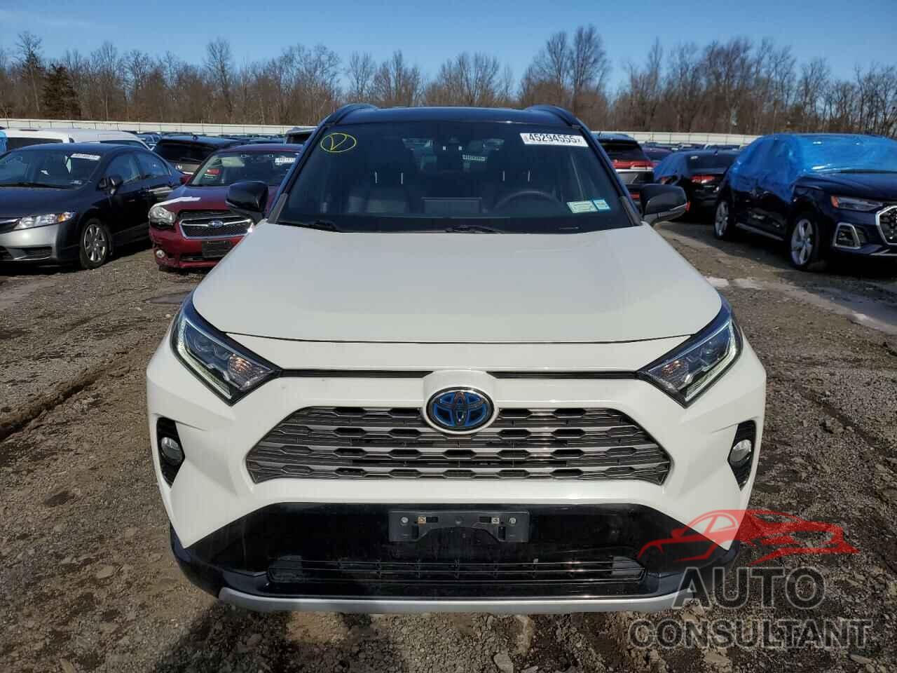 TOYOTA RAV4 2021 - 2T3E6RFV7MW016659