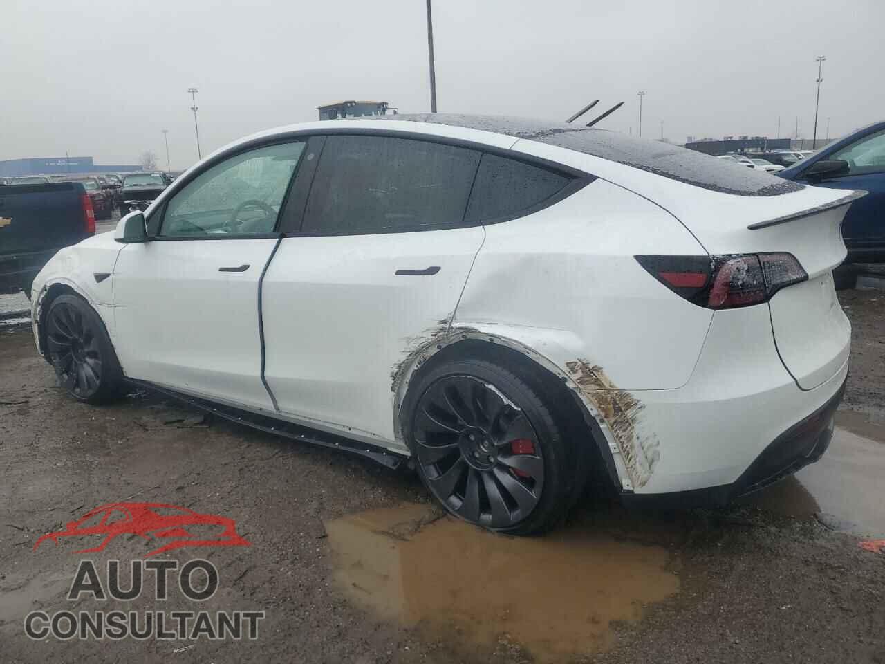 TESLA MODEL Y 2023 - 7SAYGDEF1PF714446