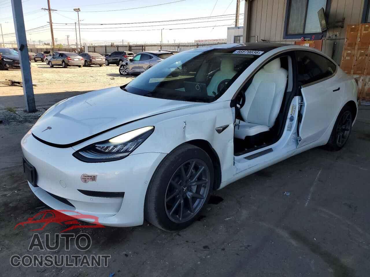 TESLA MODEL 3 2019 - 5YJ3E1EAXKF509359