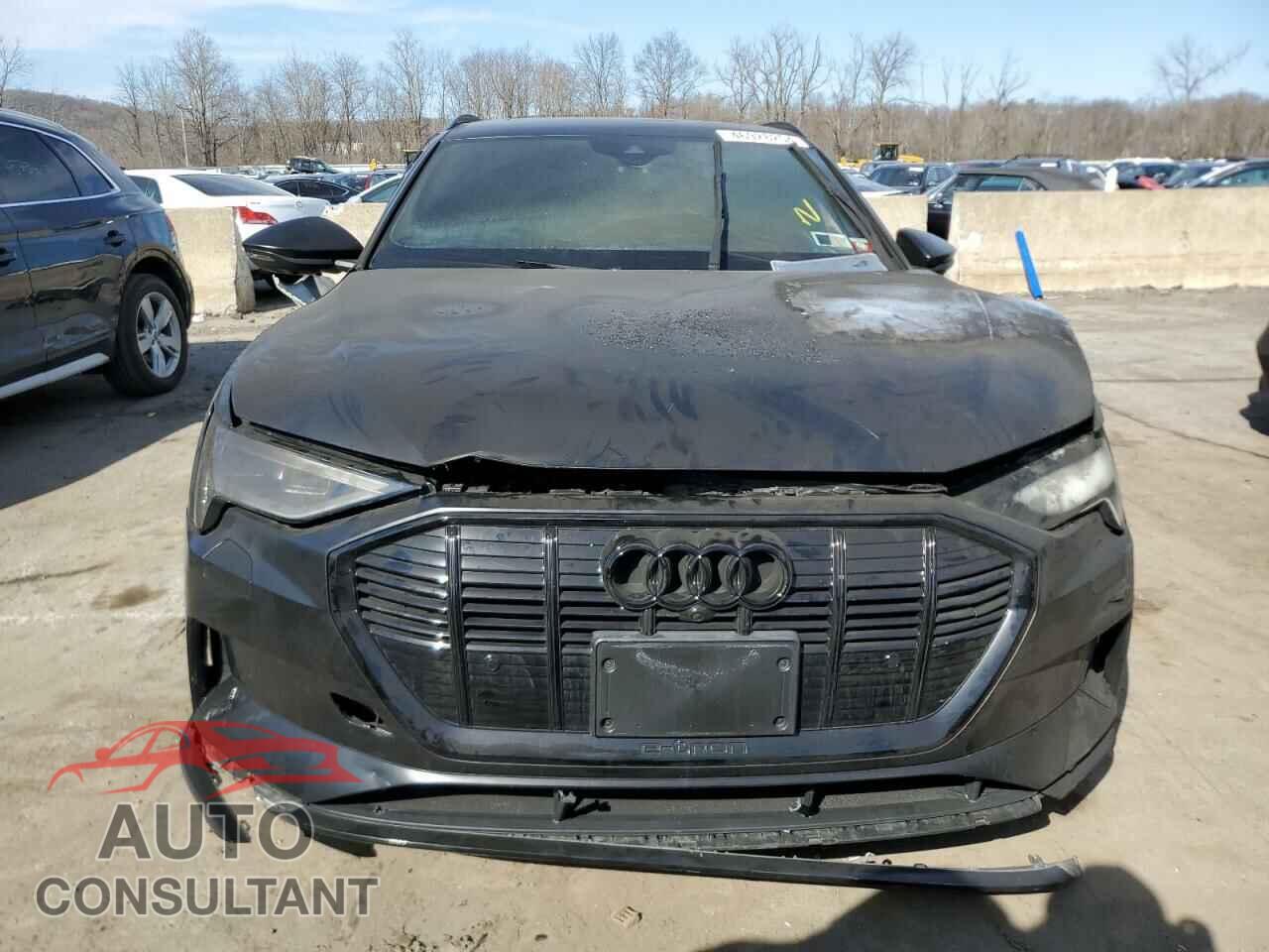 AUDI E-TRON 2019 - WA1LAAGE2KB013285
