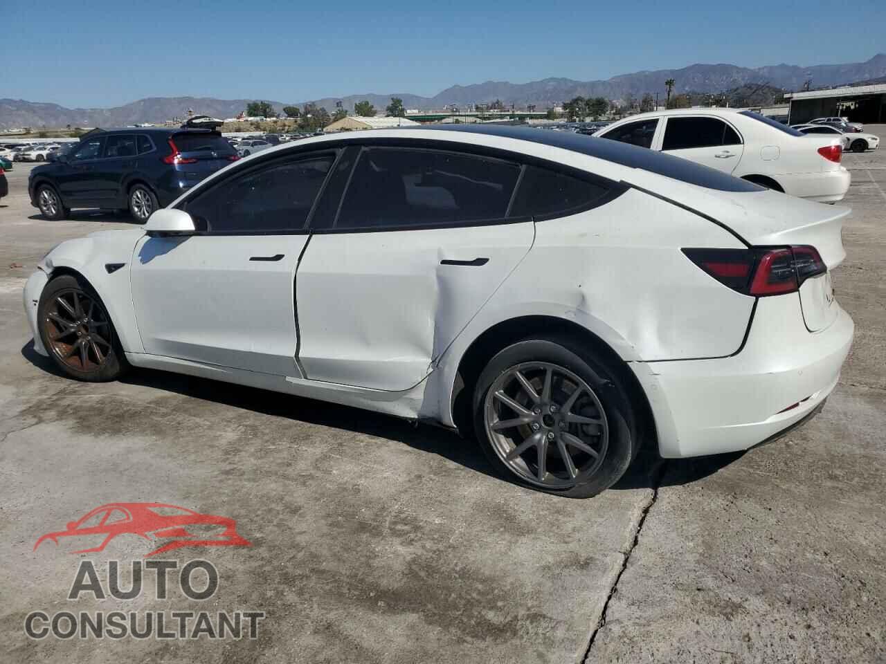 TESLA MODEL 3 2021 - 5YJ3E1EA8MF874156