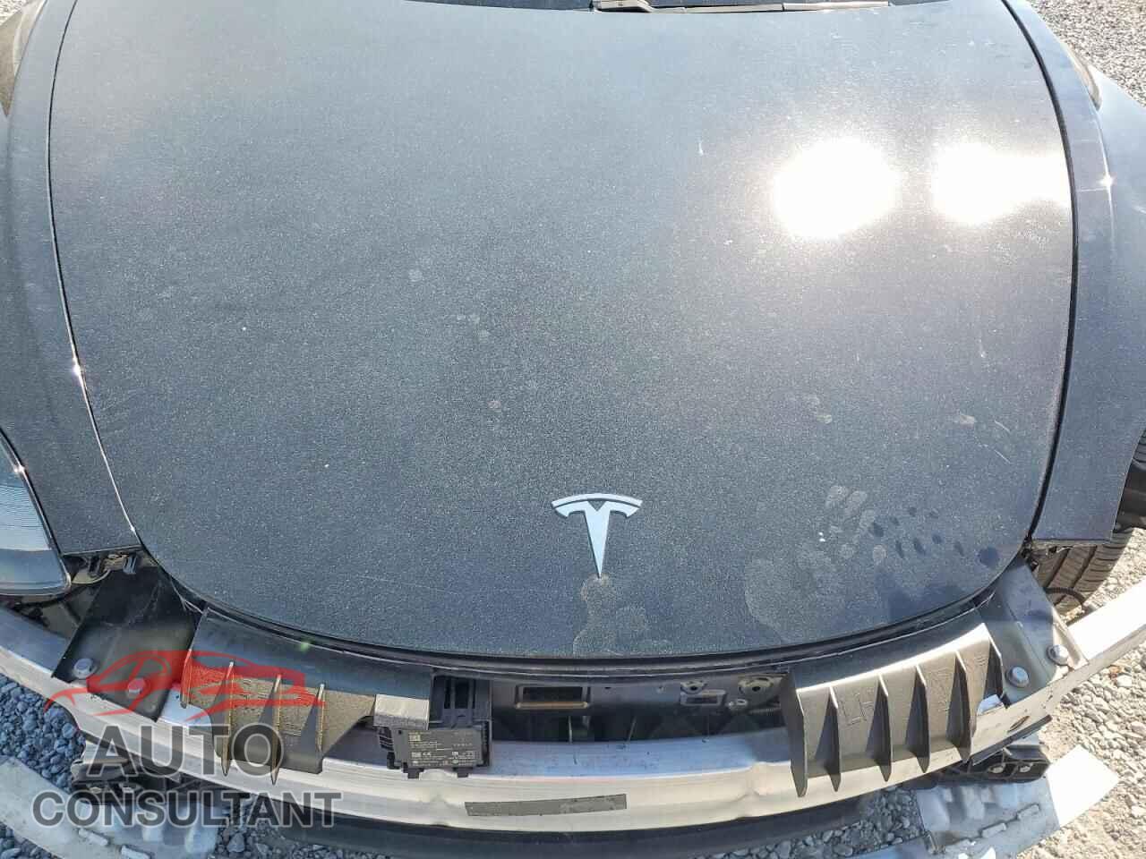 TESLA MODEL 3 2021 - 5YJ3E1EA8MF875159