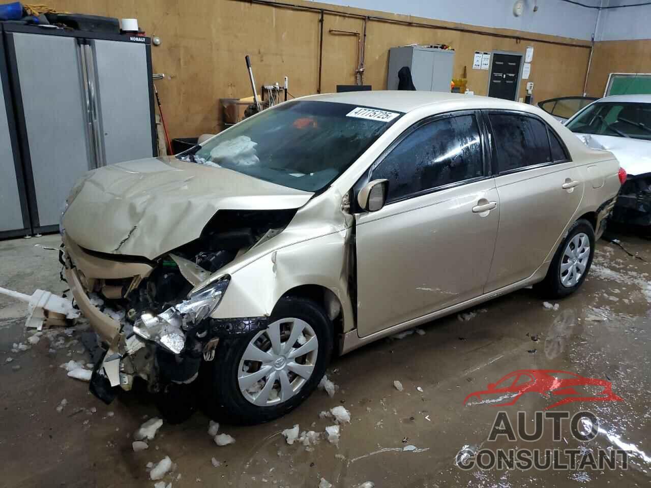 TOYOTA COROLLA 2011 - 2T1BU4EE1BC711935