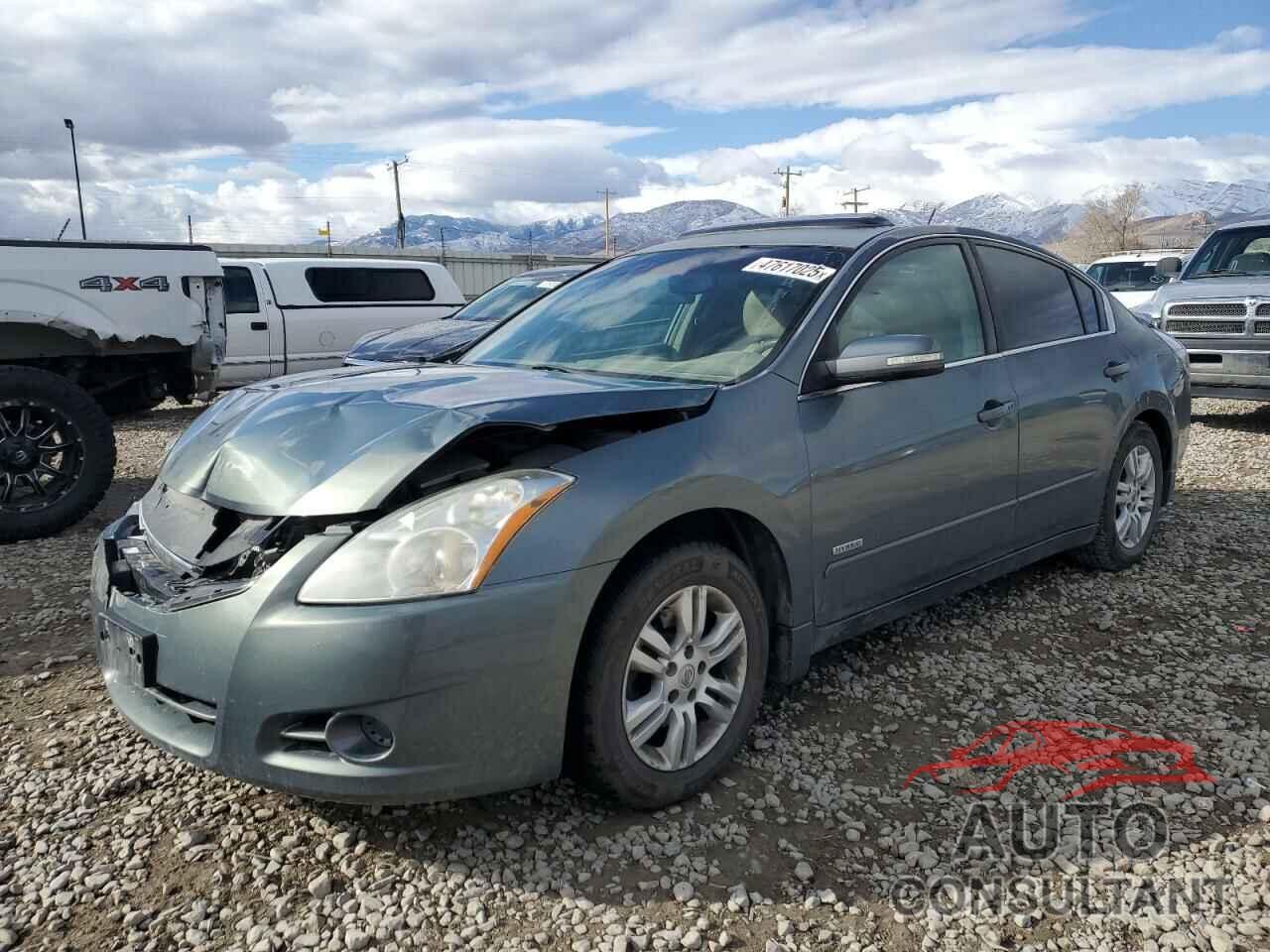 NISSAN ALTIMA 2011 - 1N4CL2AP8BC105730