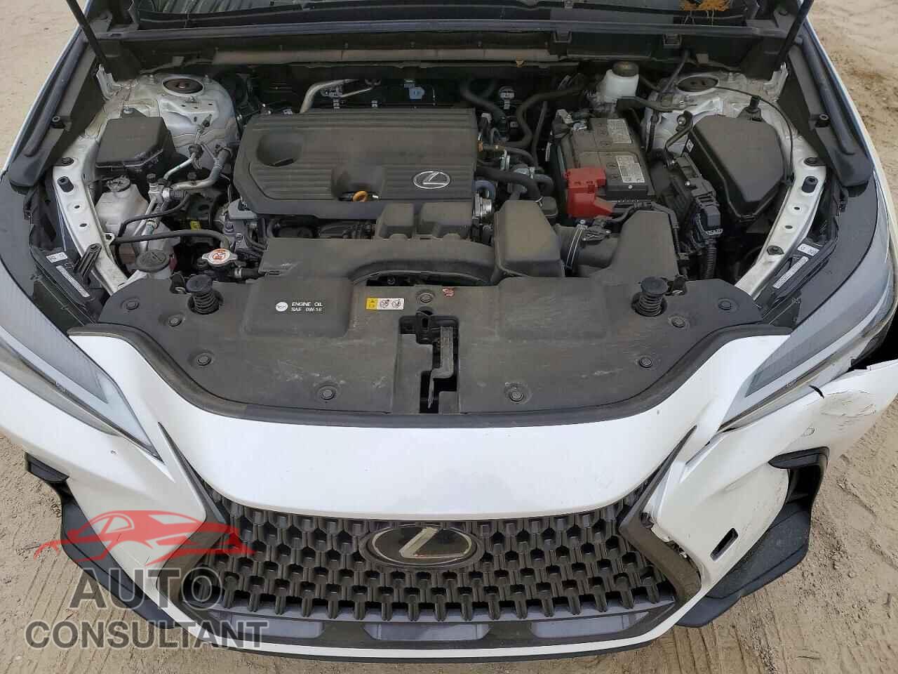 LEXUS UNKNOWN 2023 - 2T2GDCAZ9PC005596