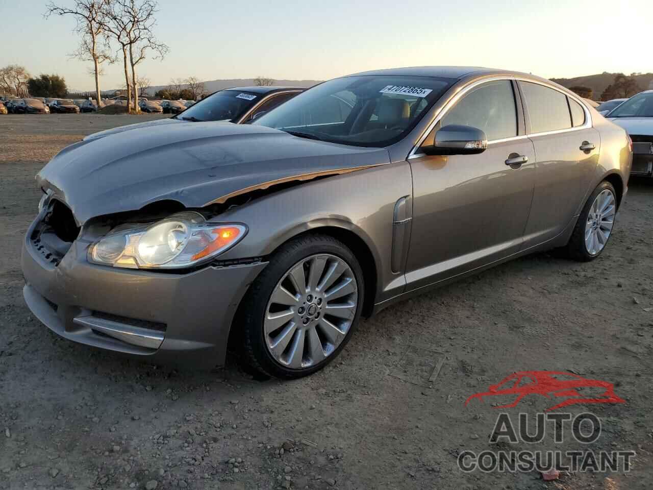 JAGUAR XF 2009 - SAJWA06B69HR12714