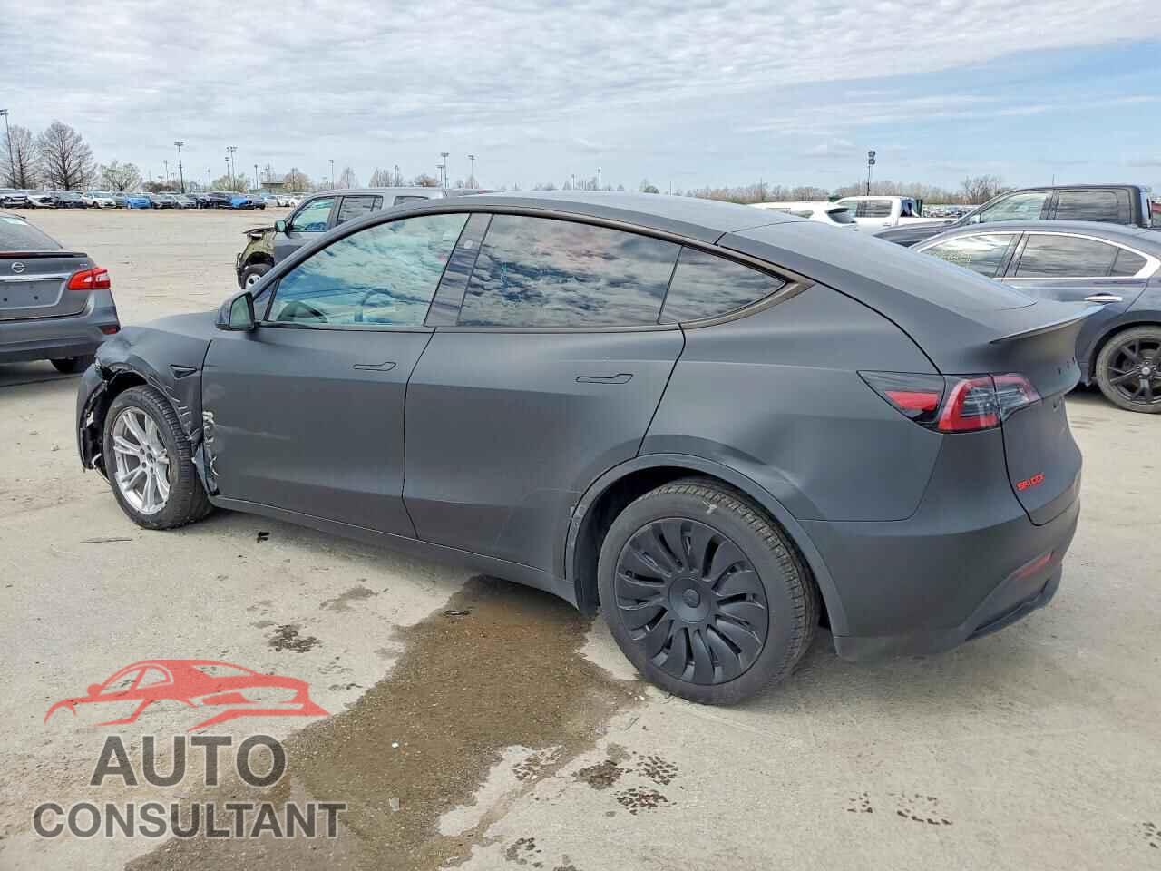 TESLA MODEL Y 2024 - 7SAYGDEE7RA229686