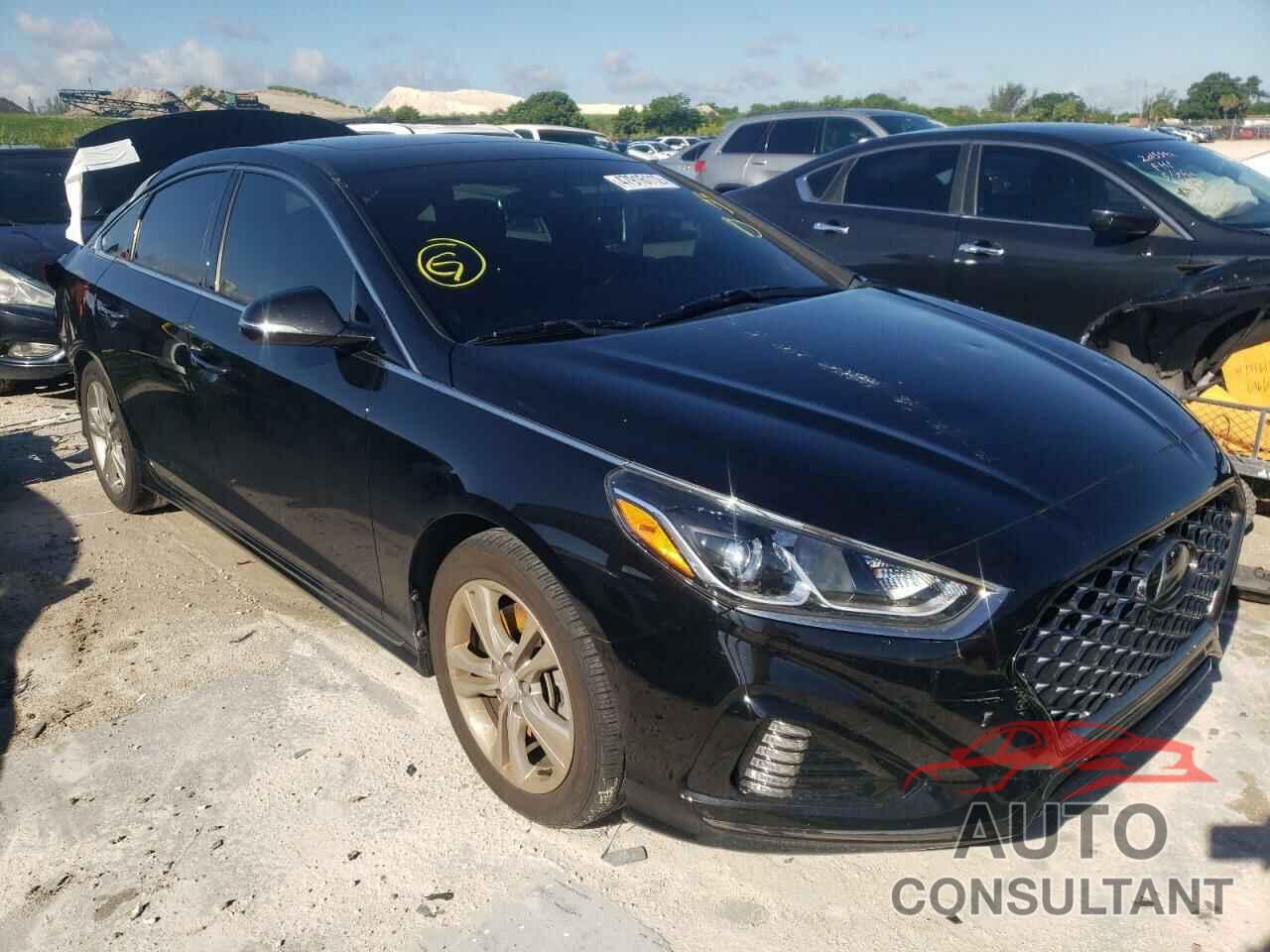 HYUNDAI SONATA 2019 - 5NPE34AF0KH820415