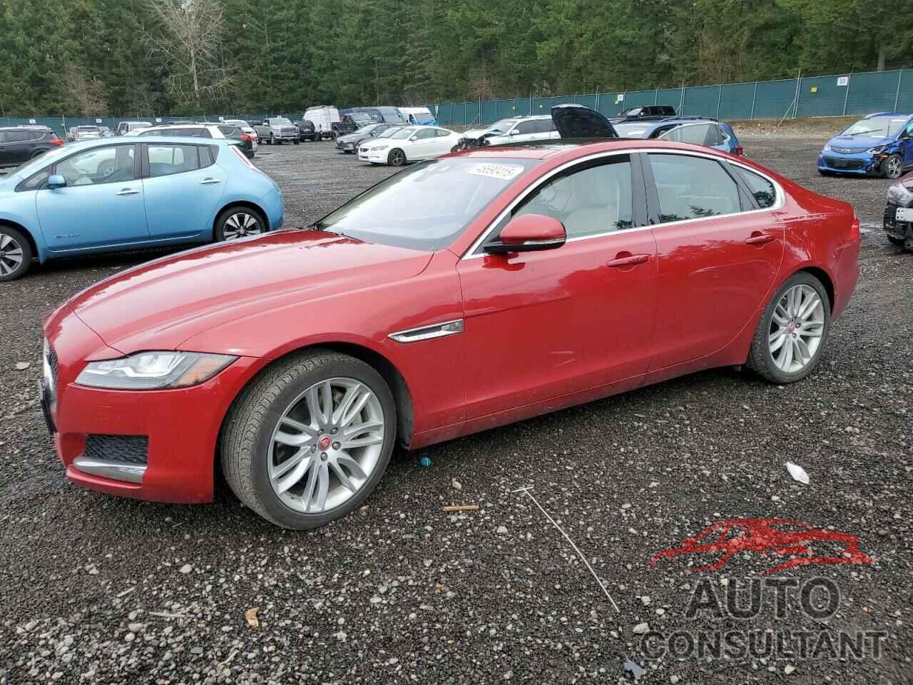 JAGUAR XF 2019 - SAJBK4GX2KCY77458
