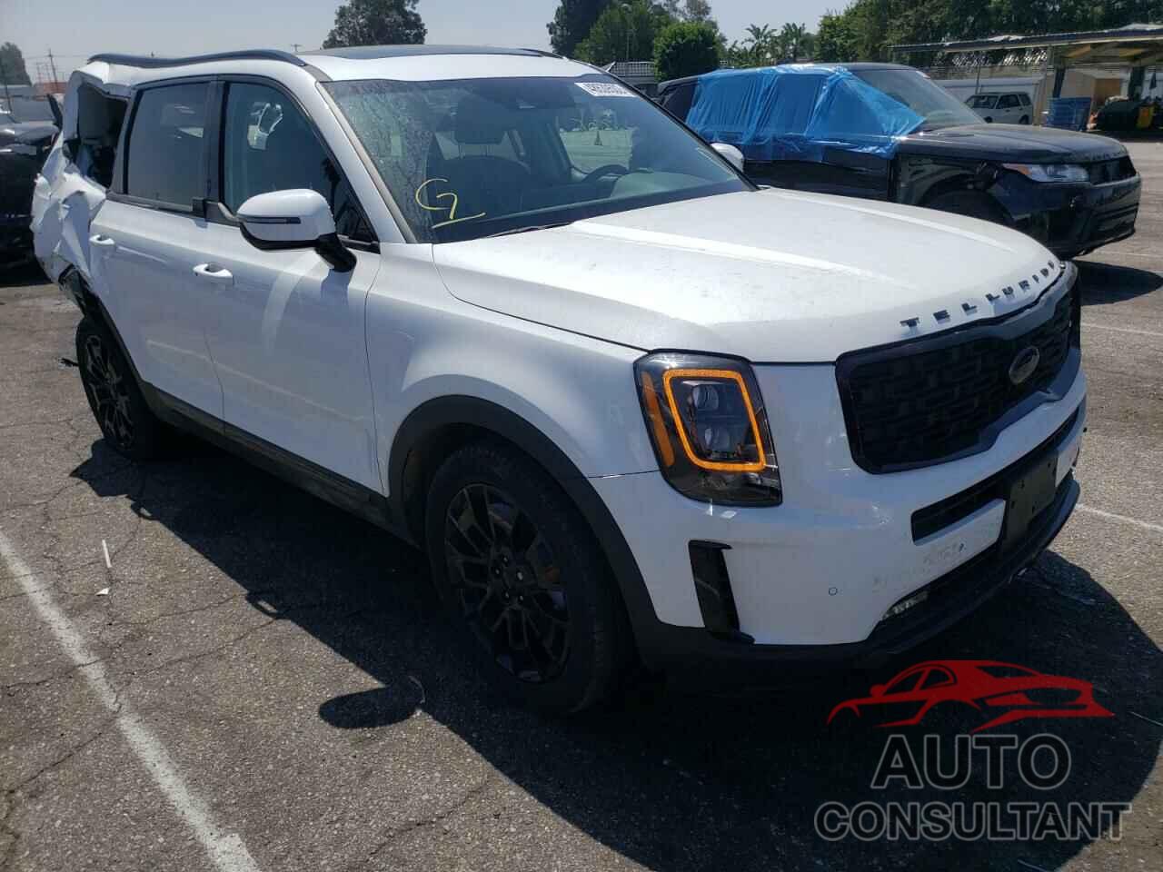 KIA TELLURIDE 2021 - 5XYP5DHC8MG095865