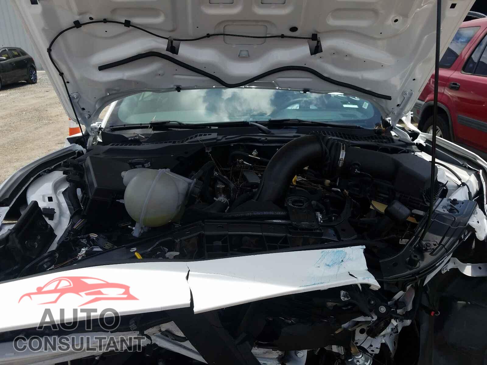 FORD MUSTANG 2021 - 1FATP8UH9M5100751