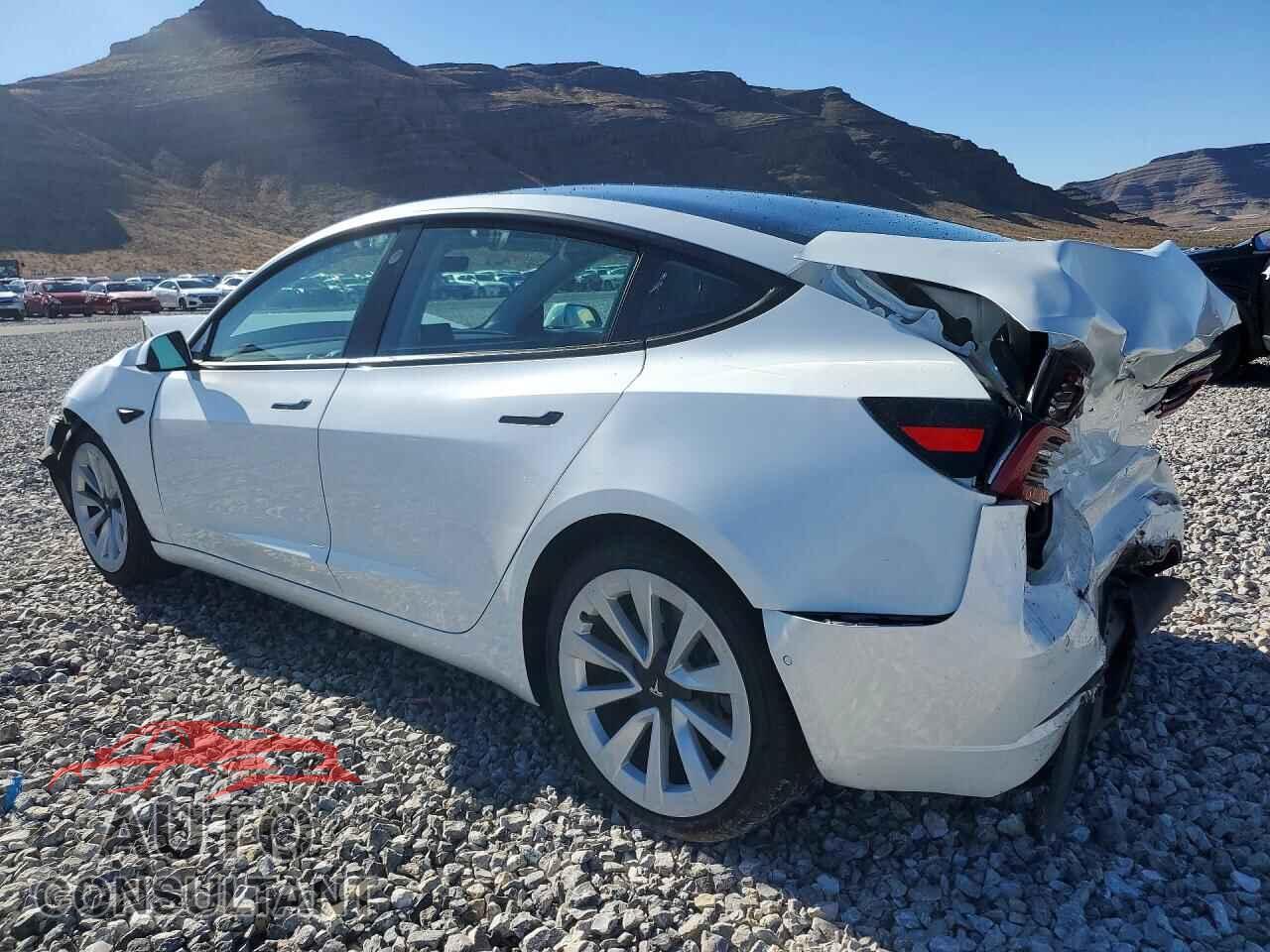 TESLA MODEL 3 2021 - 5YJ3E1EA0MF922183