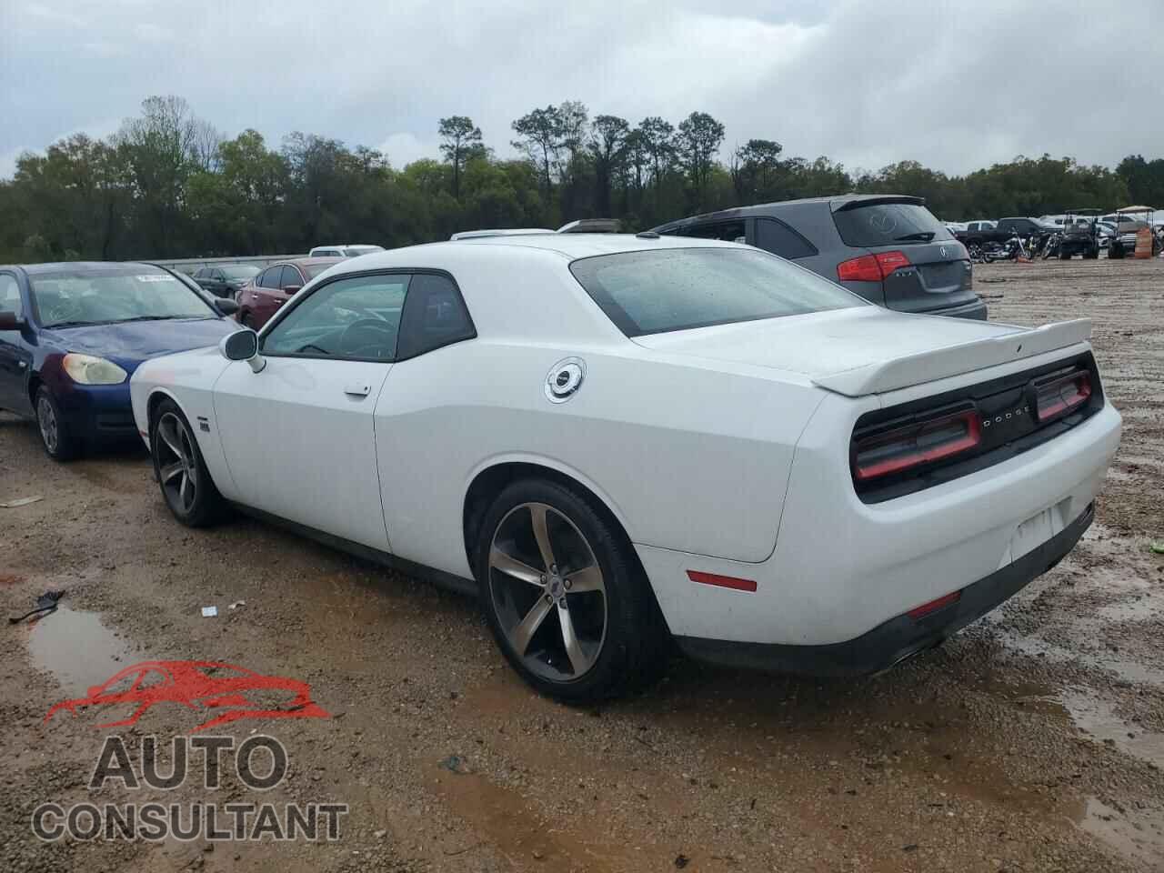 DODGE CHALLENGER 2019 - 2C3CDZBT7KH511933
